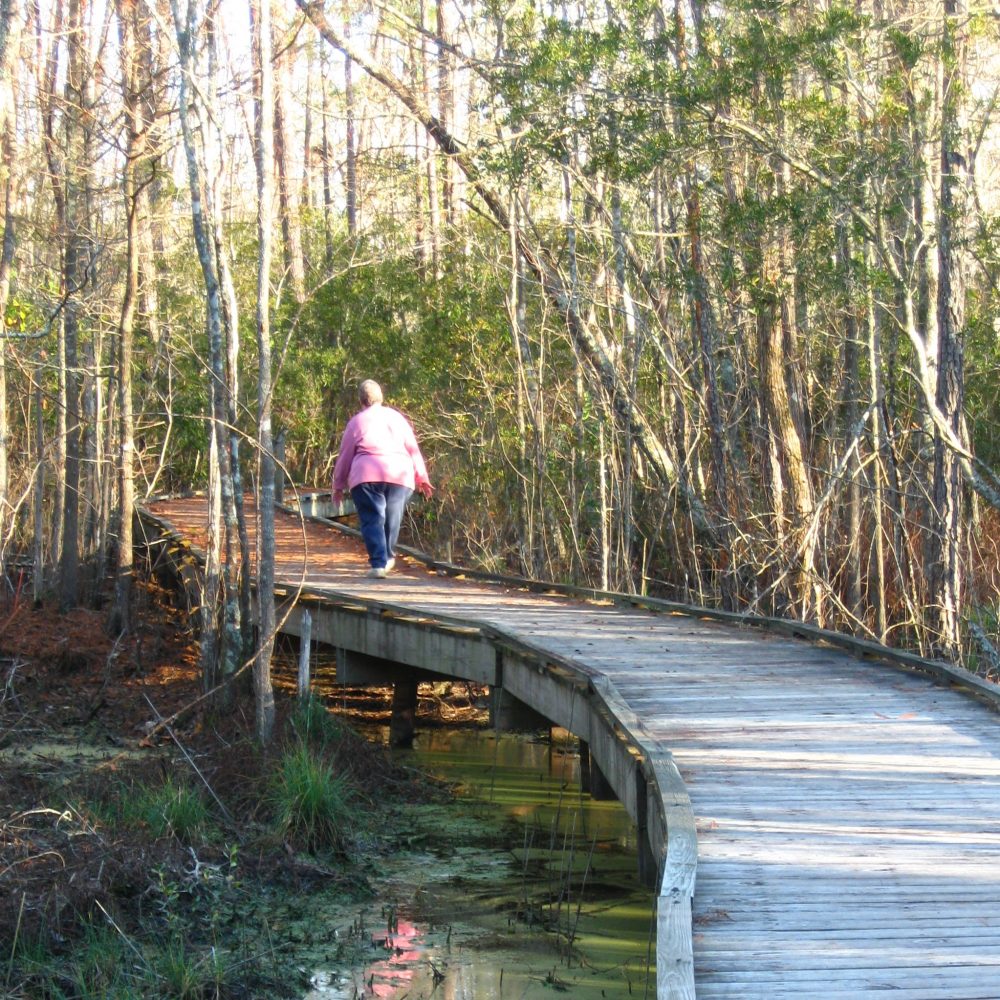 National Wildlife Refuges In North Carolina Carolina Outdoors Guide