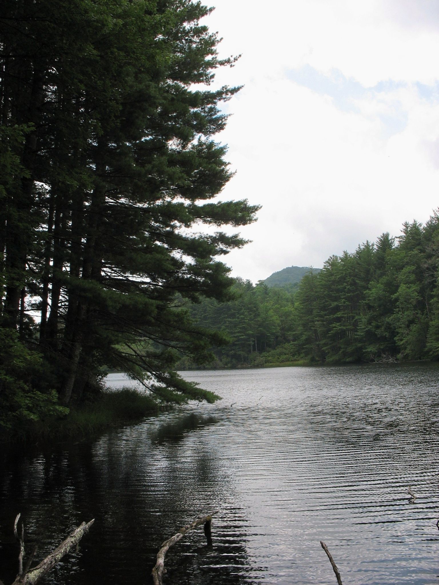 Balsam Lake, Nantahala National Forest