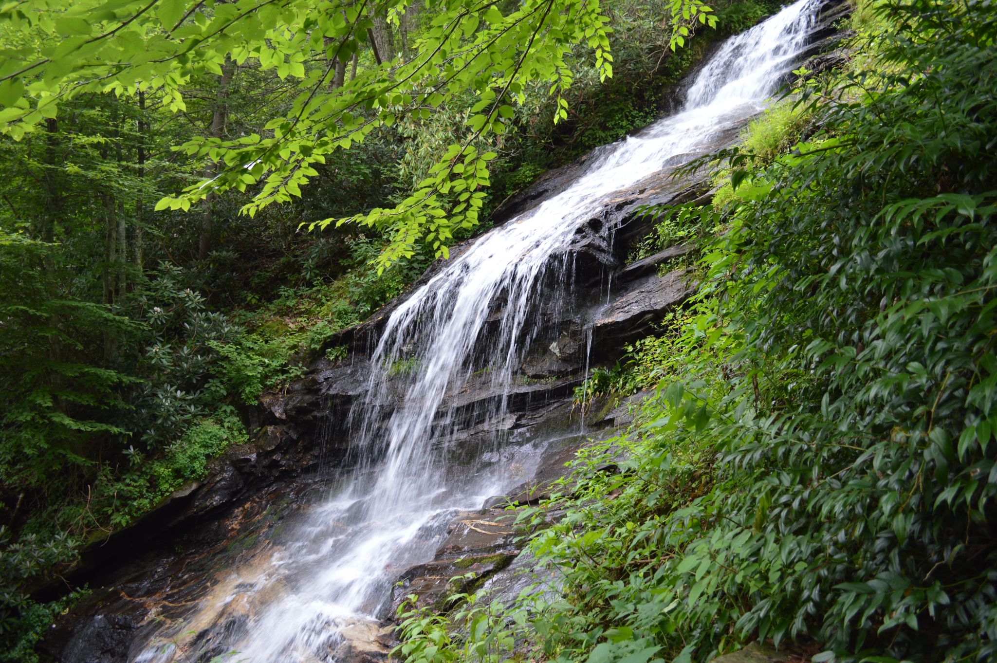 E.B. Jeffress Park, Blue Ridge Parkway » Carolina Outdoors Guide