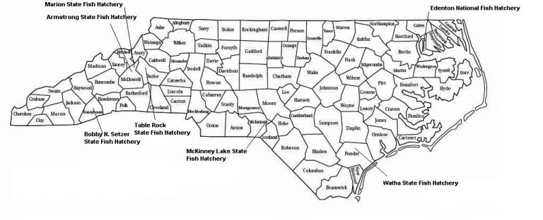 National & State Fish Hatcheries In North Carolina » Carolina Outdoors ...