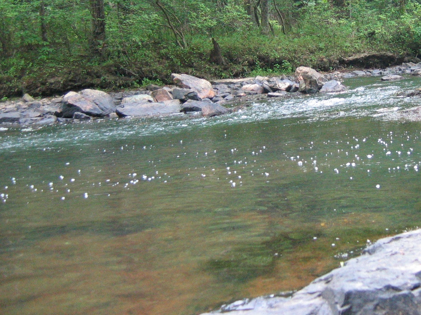 National Wild & Scenic Rivers In North Carolina » Carolina Outdoors Guide