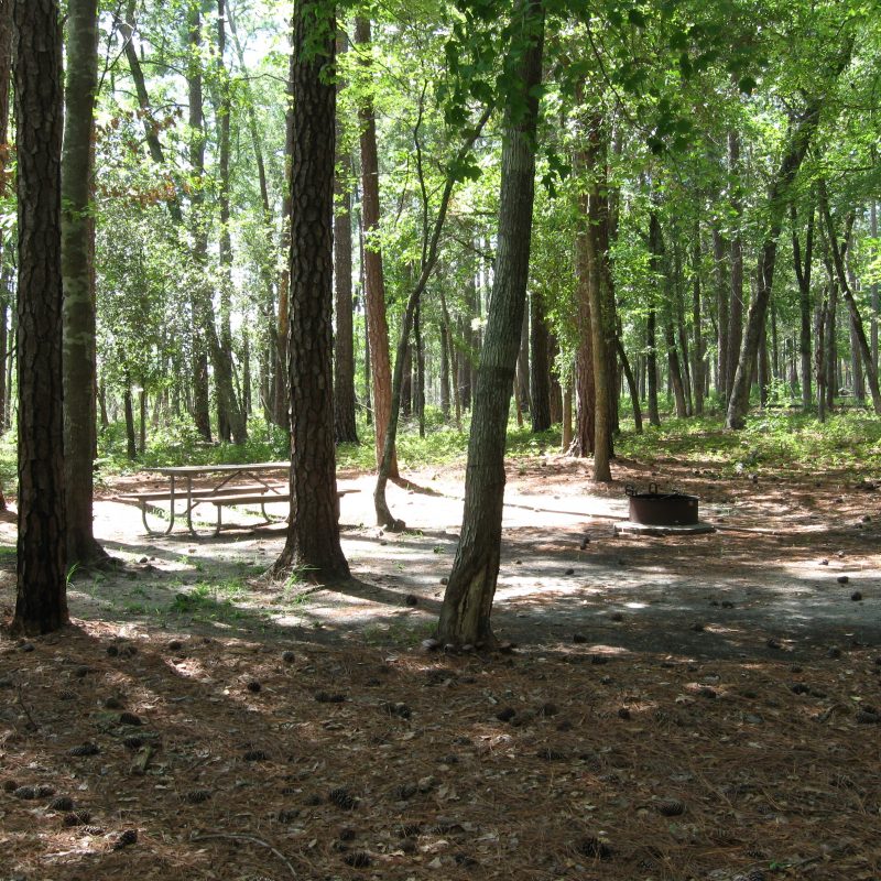 Camping in State Parks In North Carolina » Carolina Outdoors Guide