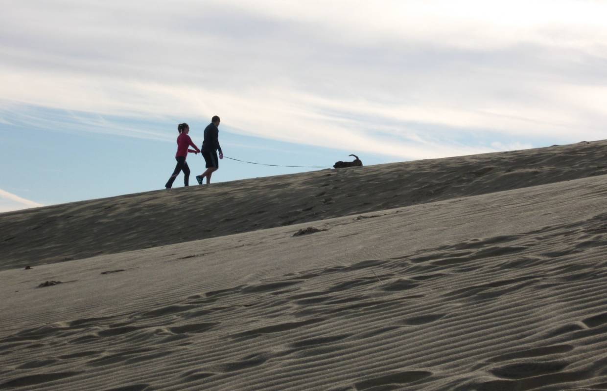 Jockey's Ridge State Park - Click for More Information