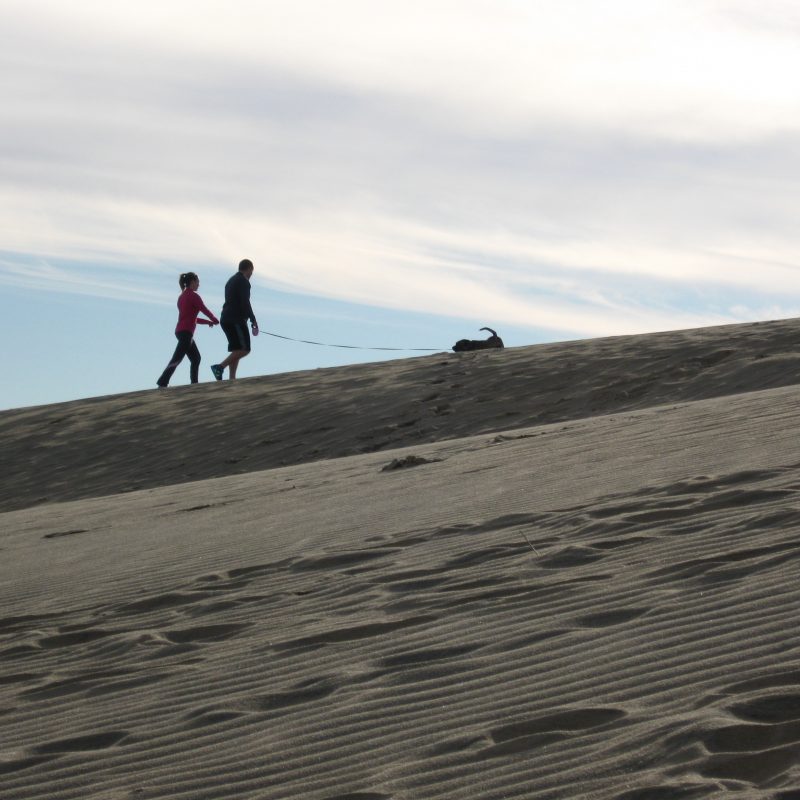 Jockey's Ridge State Park - Click for More Information