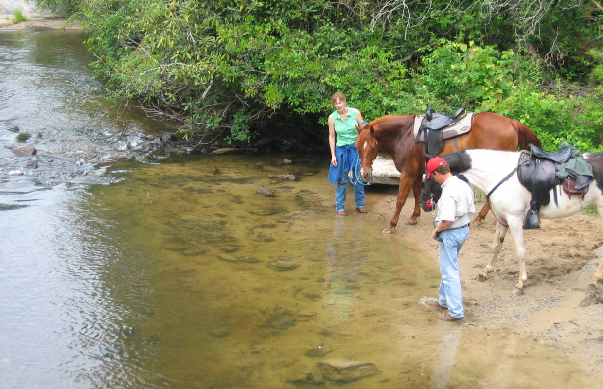 duponthorses