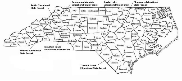 Educational State Forests In North Carolina » Carolina Outdoors Guide