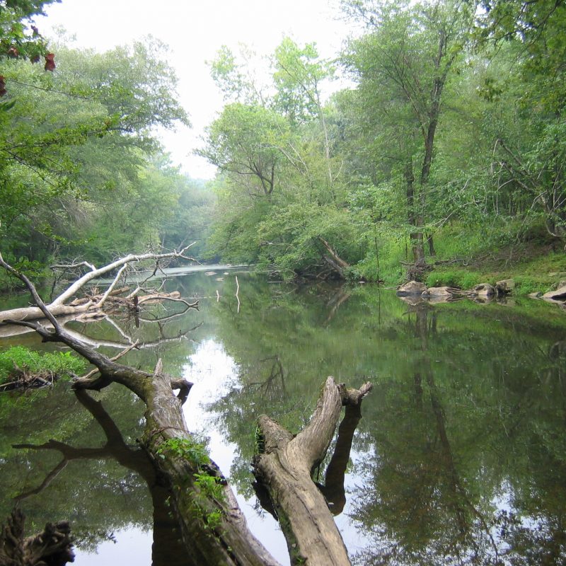 Eno River State Park - Click for More Information