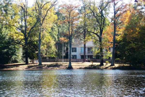 Carvers Creek State Park - Click for More Information