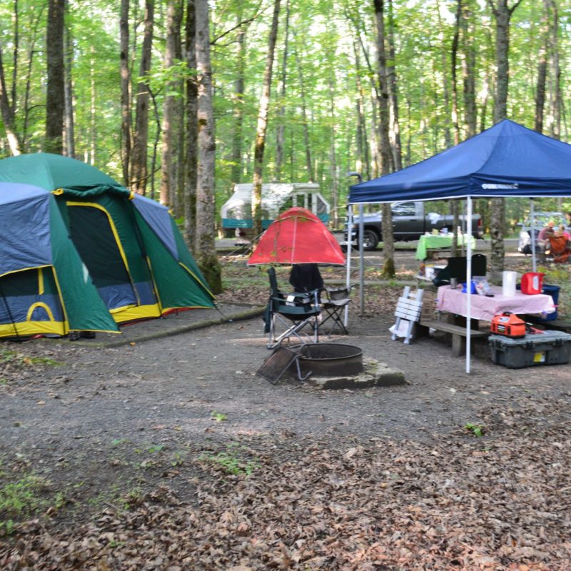 Camping In North Carolina » Carolina Outdoors Guide