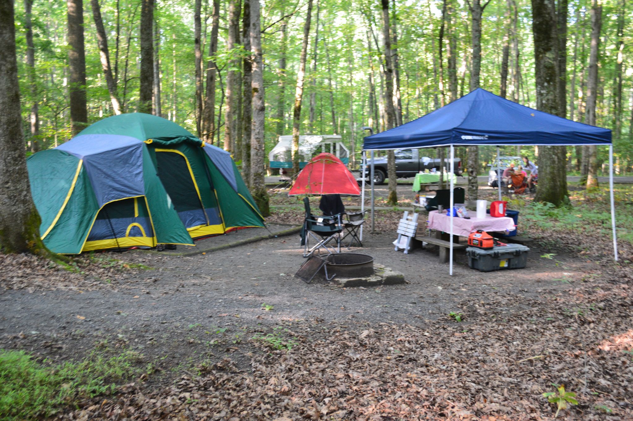 Julian Price Park Camping - Click for More Information