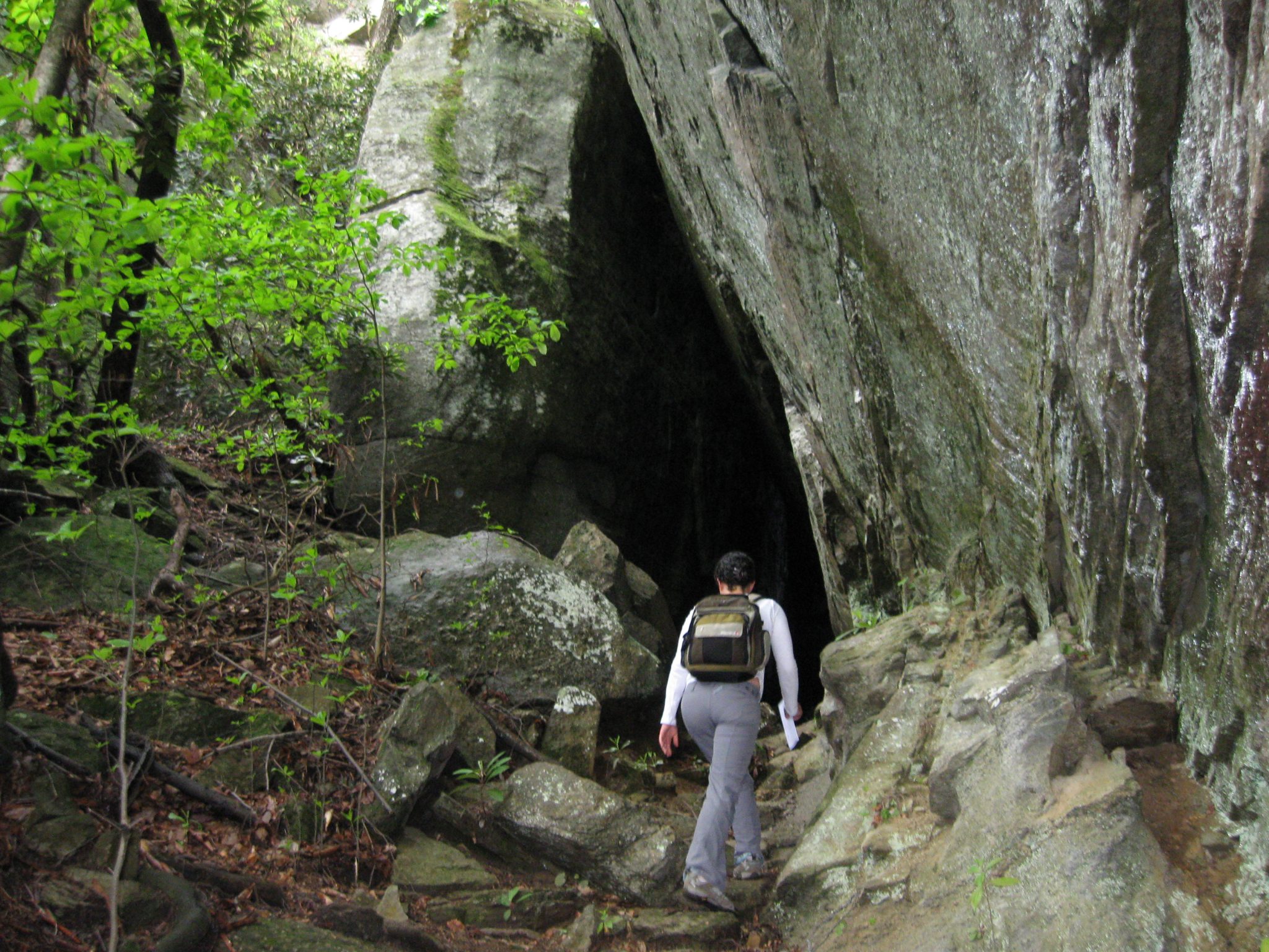 Bat Cave Preserve North Carolina Nature Conservancy Carolina   Littlebatcave 