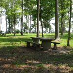 Neuse River Recreation Area - Click for More Information