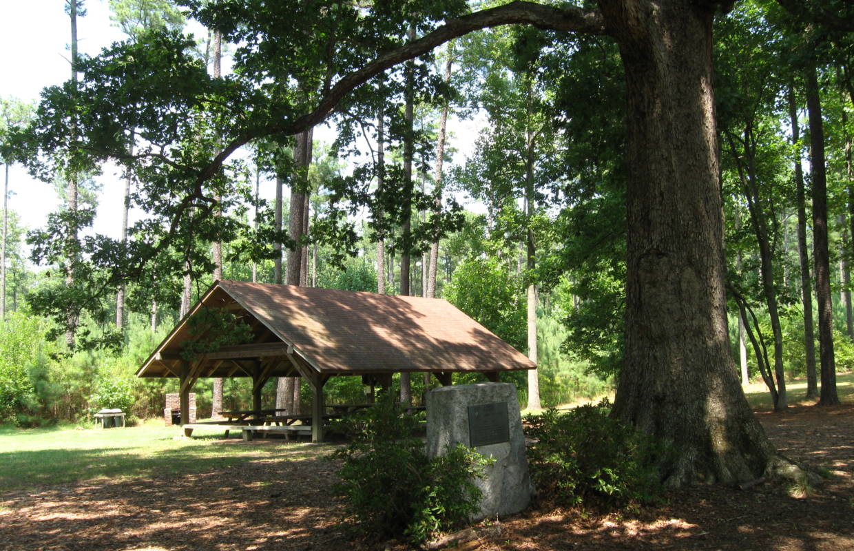 Schenck Memorial Forest - Click for More Information