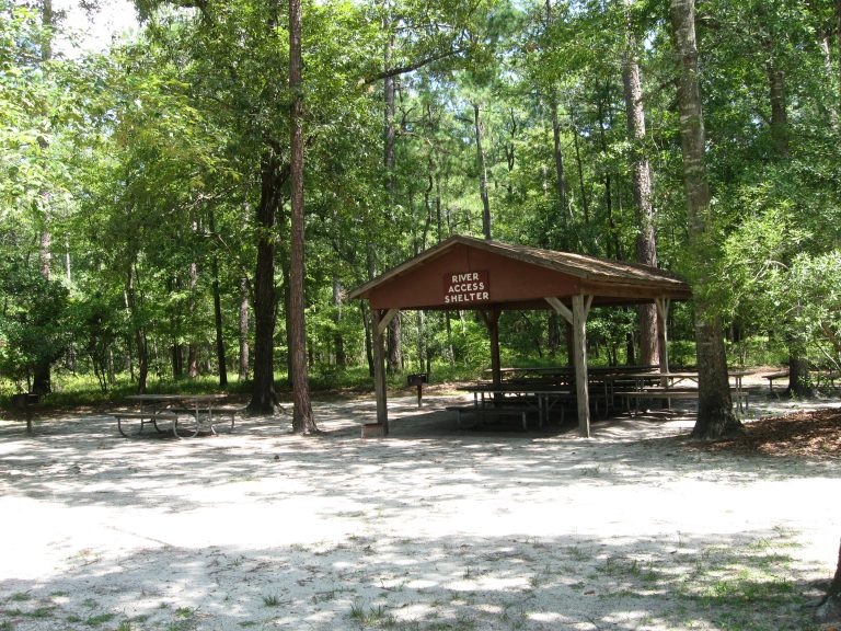 Goose Creek State Park, Washington, N.c. » Carolina Outdoors Guide