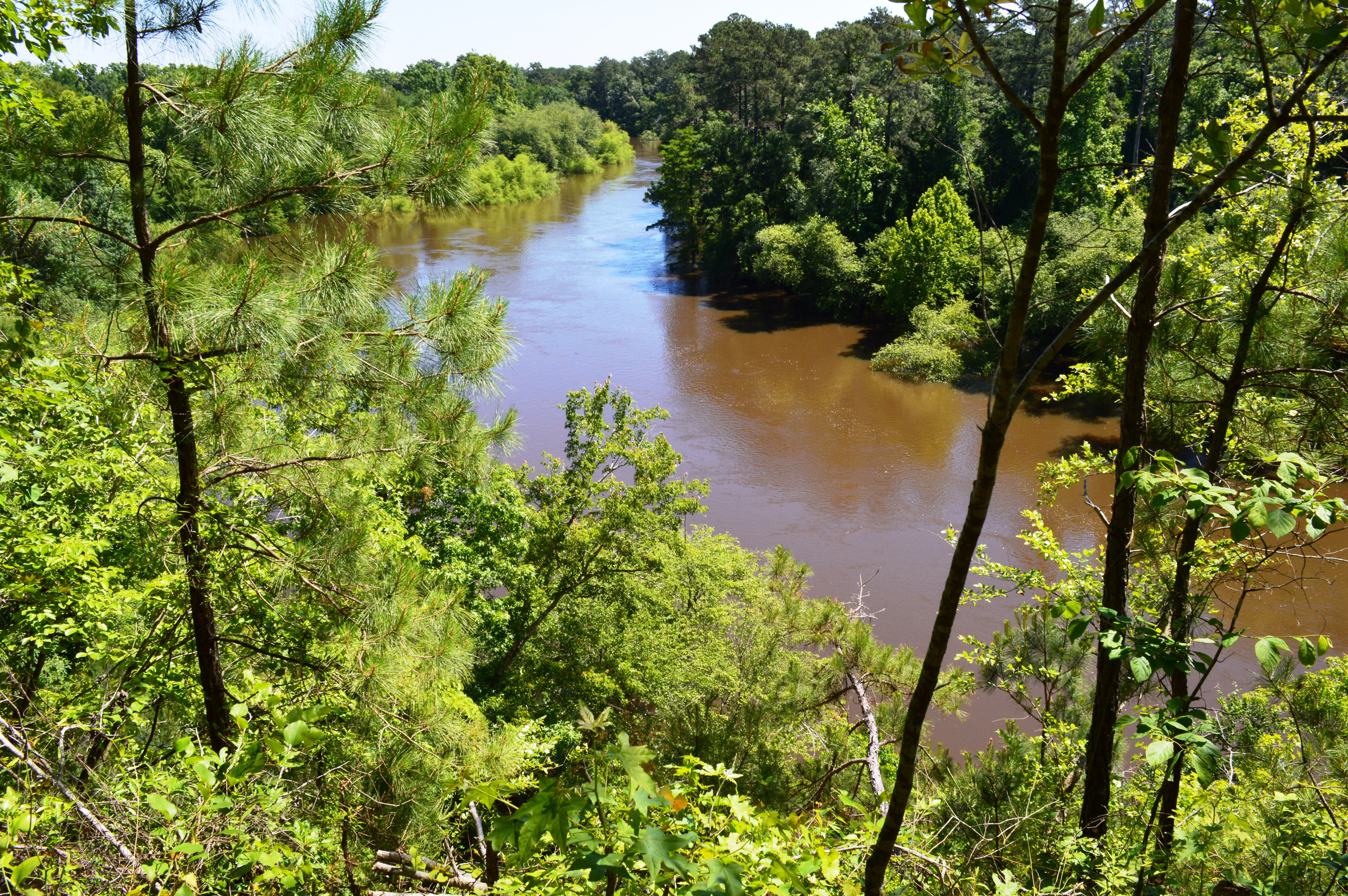 Cliffs of the Neuse State Park, Seven Springs, N.C.