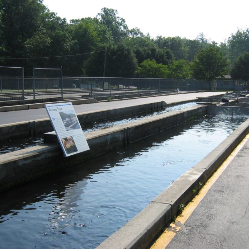 Trout raceway at Setzer State Fish Hatchery