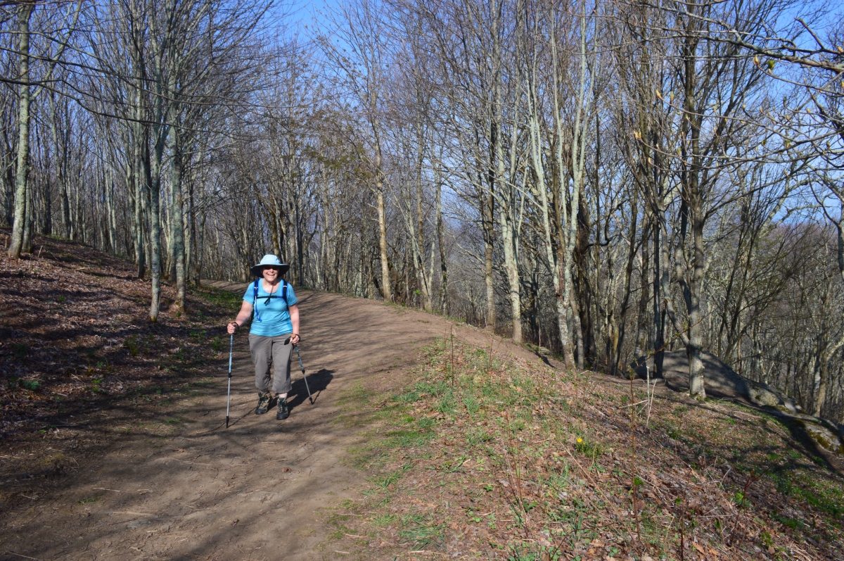 Woman hiking on trail down from Max Patch in Pisgah National Forest, North Carolina