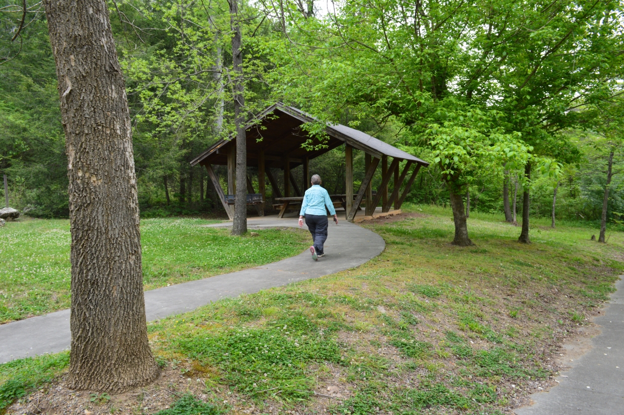 Murray Branch Picnic Area, Pisgah National Forest