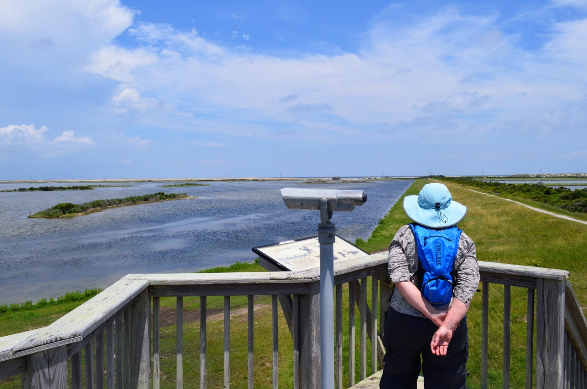 Pea Island National Wildlife Refuge, Hatteras Island, N.C.