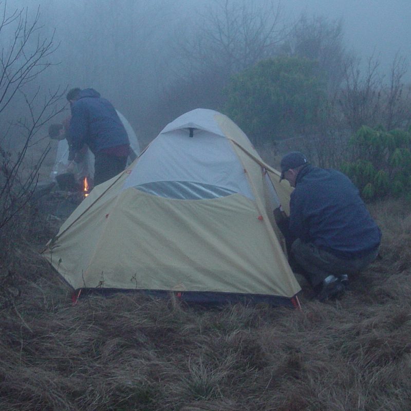 Campers and tents in Pisgah National Forest near Mount Mitchell