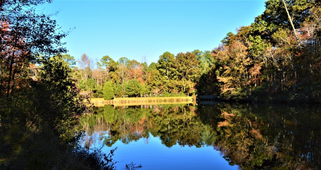 Cub Scouts pack crossing dam at Clemmons Educational State Forest