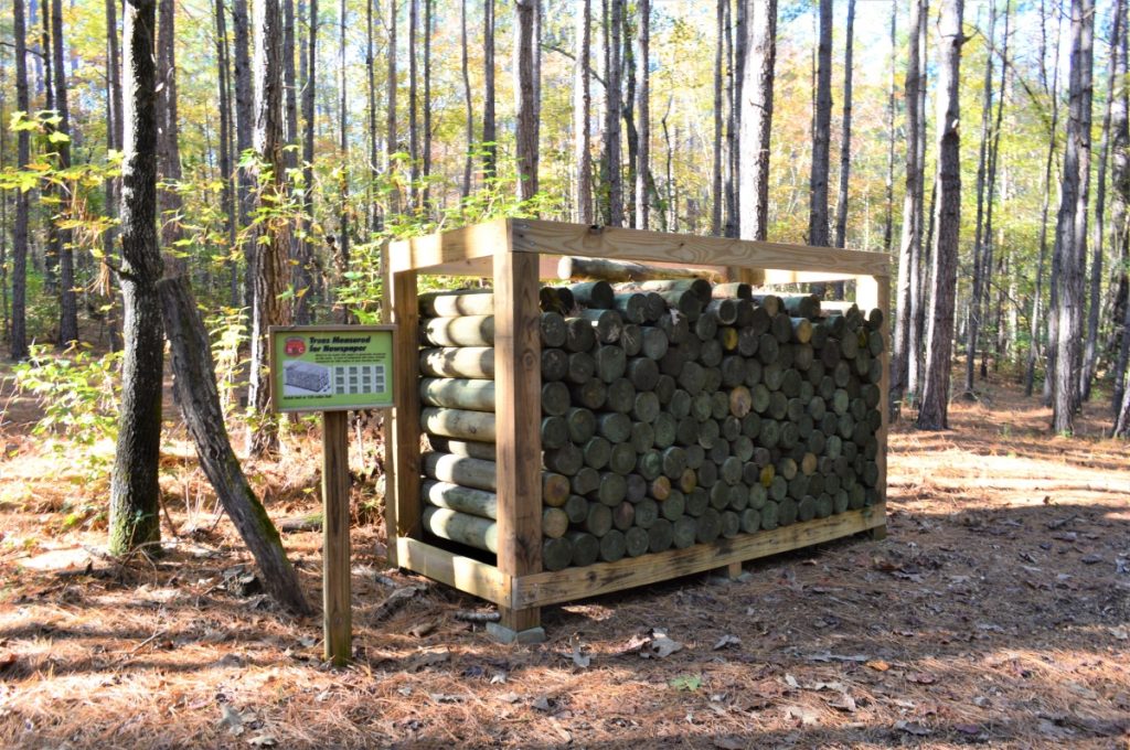 Cord of wood on Demonstration Trail at Clemmons Educational State Forest