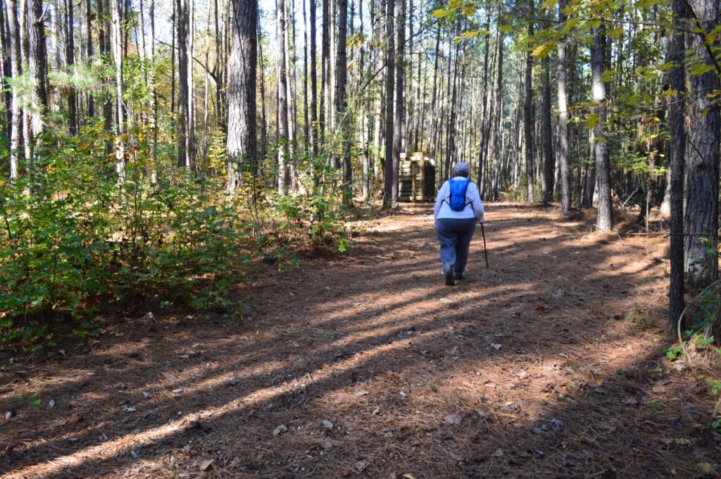 Clemmons Educational State Forest