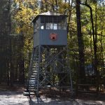 Fire tower at Clemmons Educational State Forest