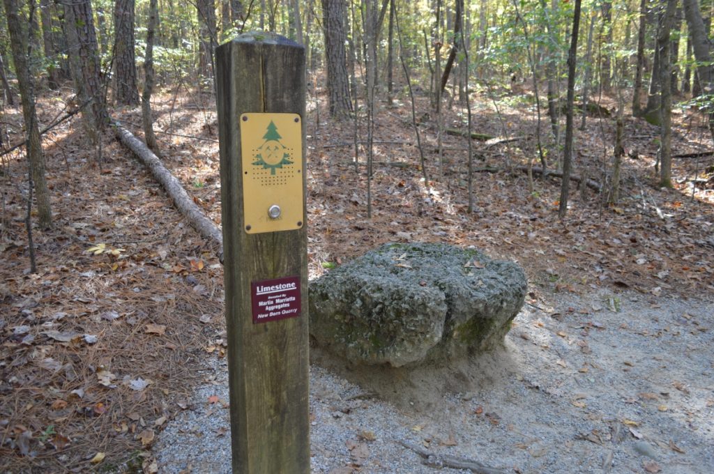 Limestone specimen at Clemmons Educational State Forest