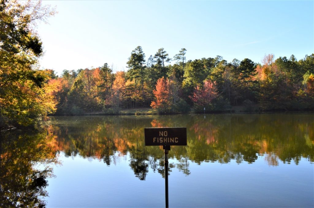 No Fishing sign on pond at Clemmons Educational State Forest 