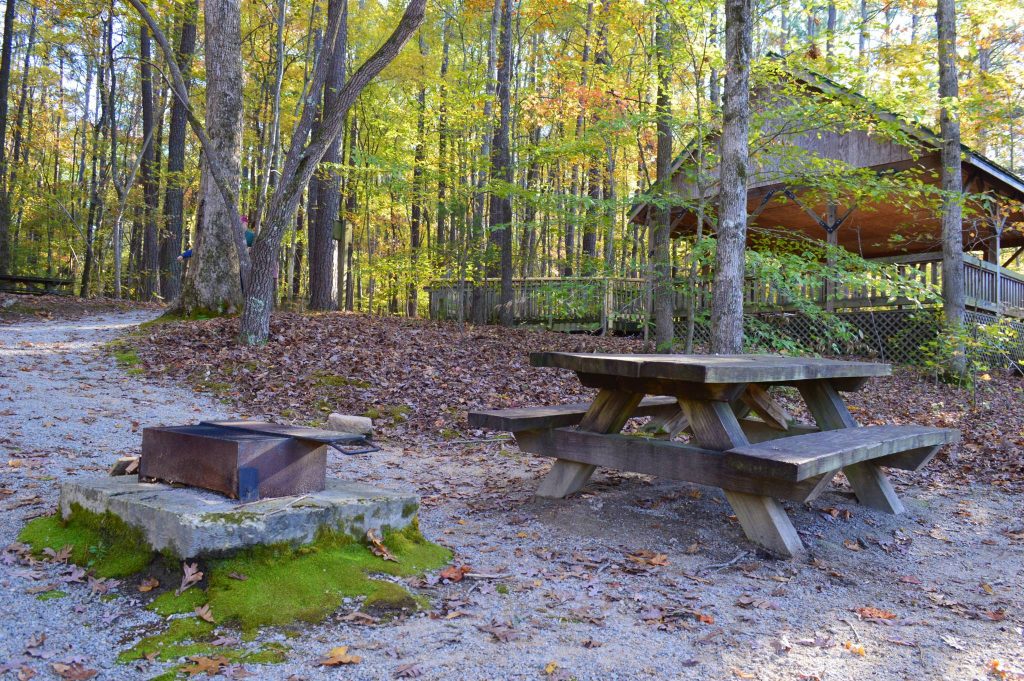 Picnic site with grill near pavilion at Clemmons Educational State Forest