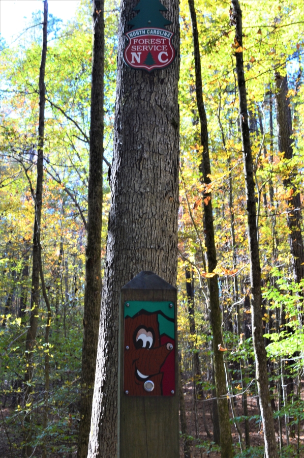 Talking tree a Clemmons Educational State Forest