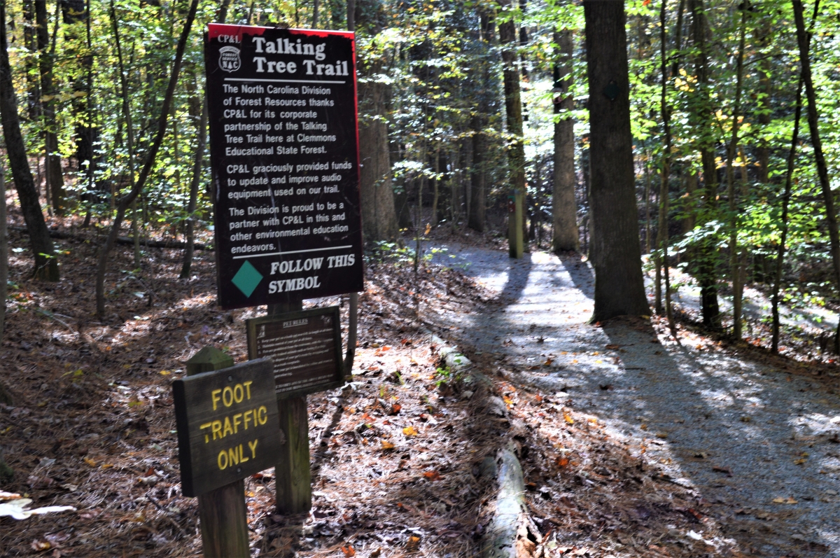 Talking Tree Trail sign and trail at Clemmons Educational State Forest