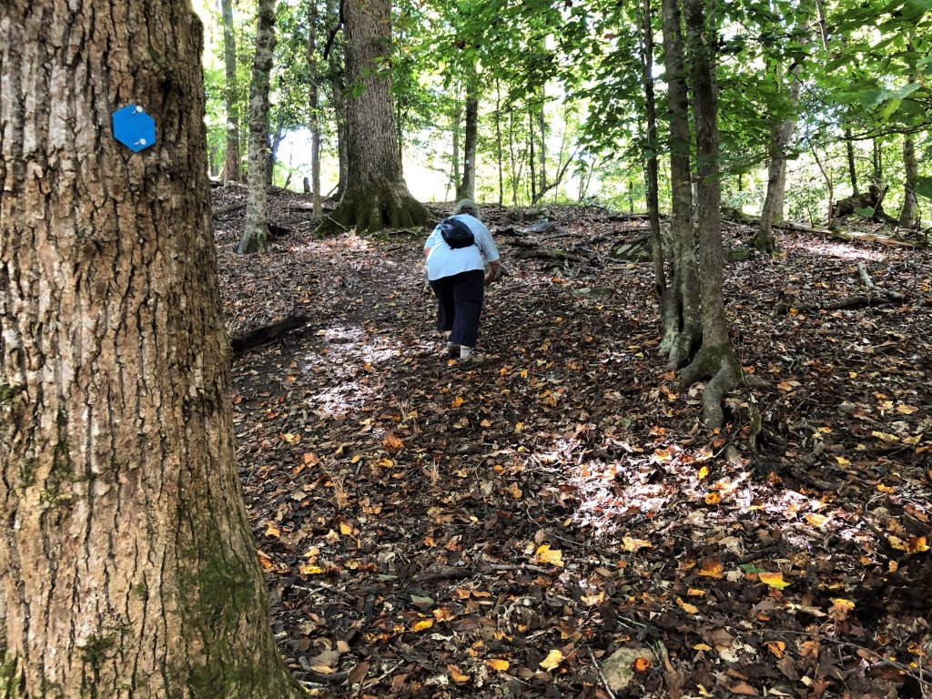 hiker ascending bluff on Three Rivers Trail at Morrow Mountain State Park