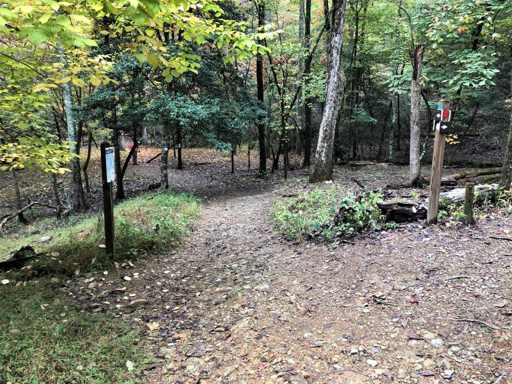 trail intersection at Morrow Mountain State Park