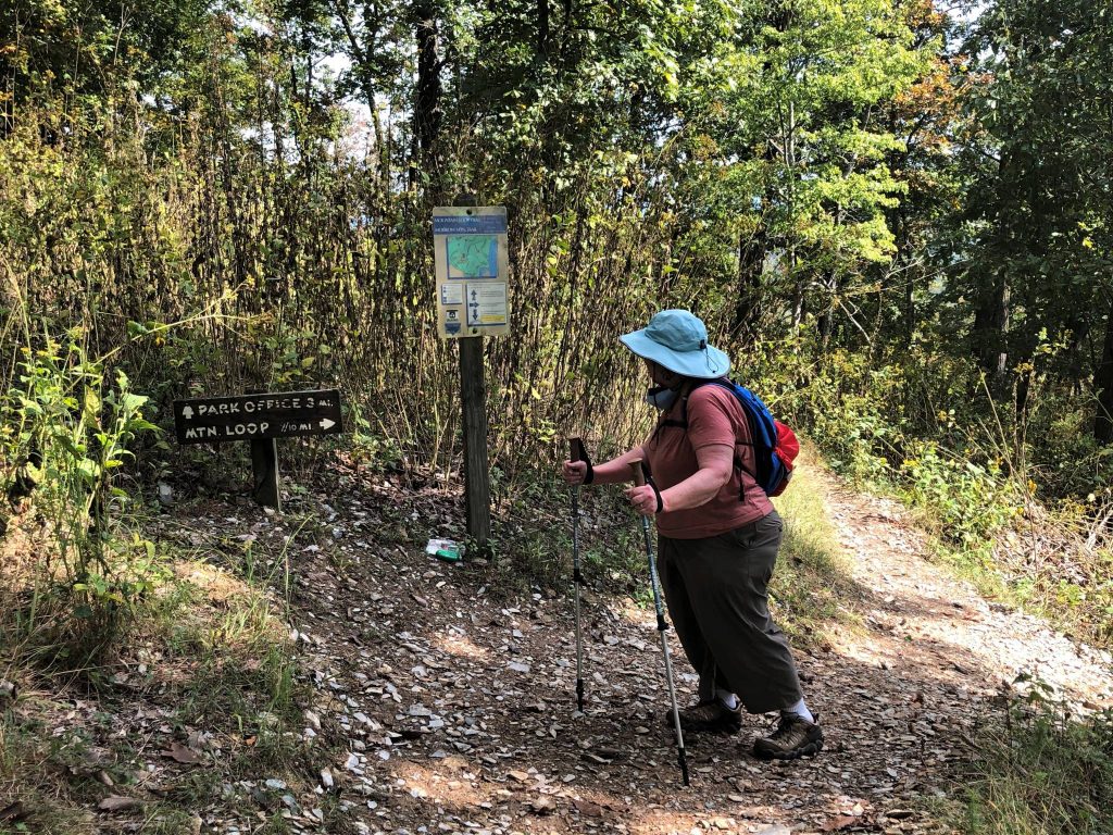 showing intersection of trails at Morrow Mountain State Park