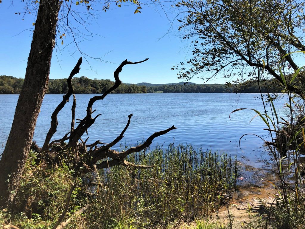 Pee Dee River seen from Three Rivers Trail at Morrow Mountain State Park