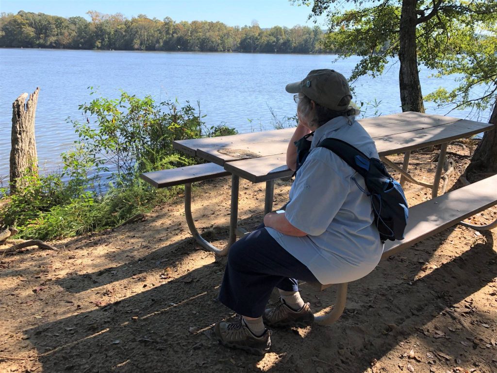 depict picnic table alongside river at Morrow Mountain State Park