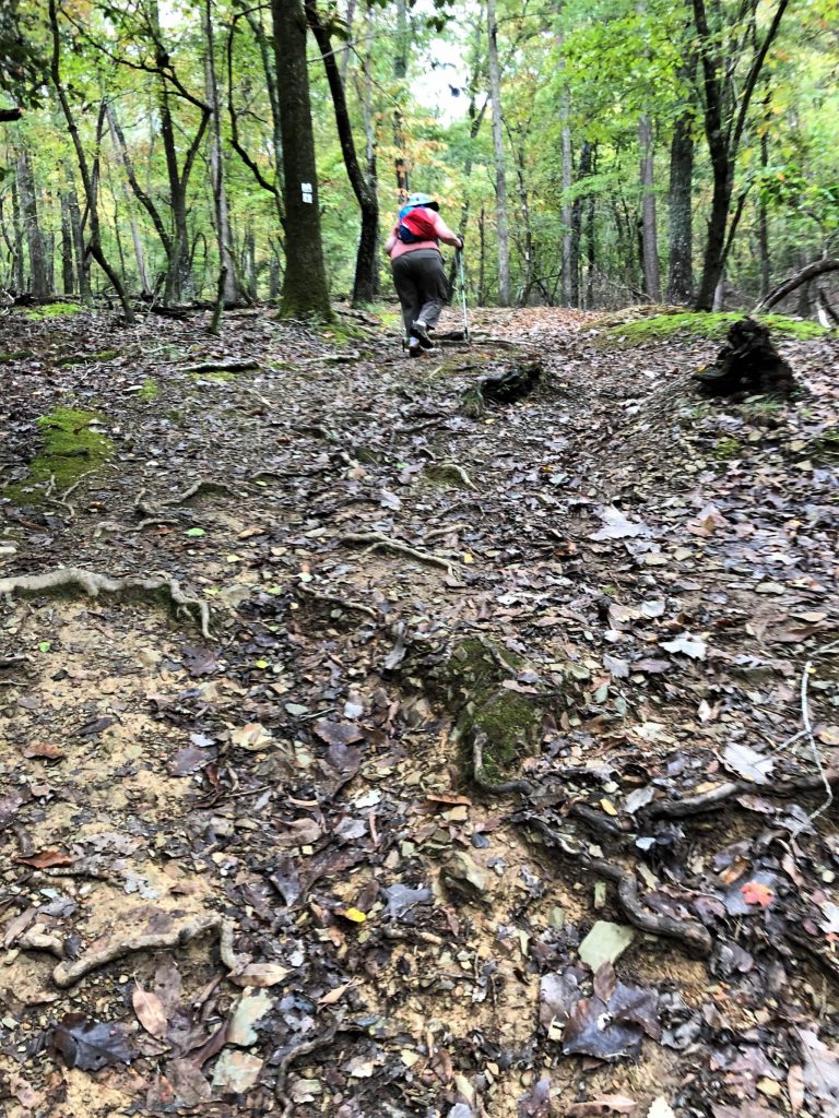 showing hill on Morrow Mountain Trail