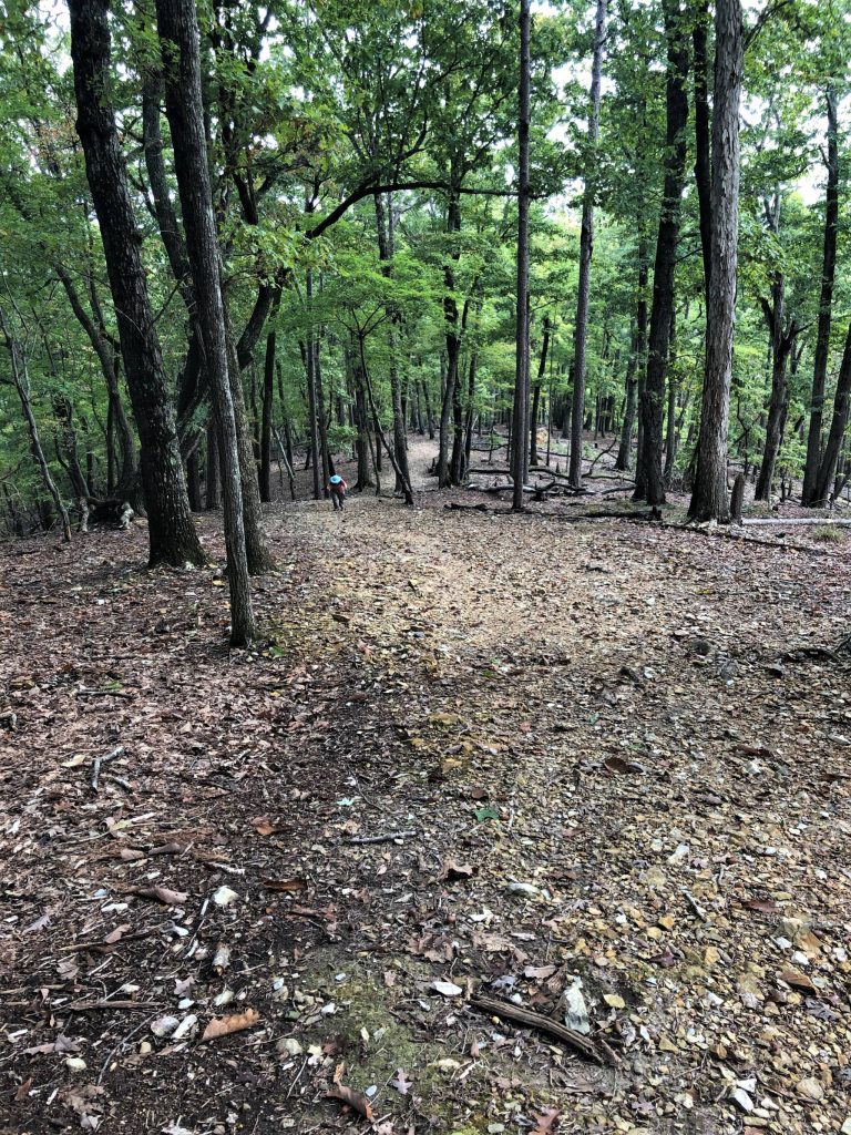 long steep stretch of Morrow Mountain Trail at Morrow Mountain State Park