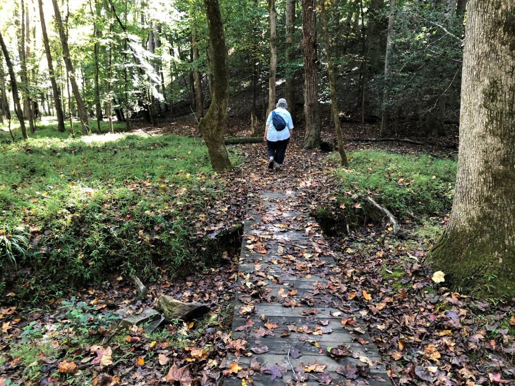 entering Three Rivers Trail loop at Morrow Mountain State Park