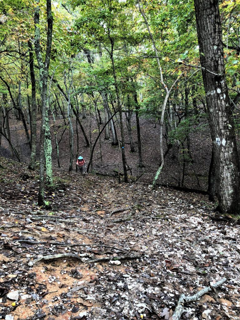 looking down a hill on Morrow Mountain Trail