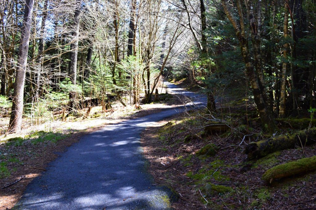 show paved portion of trail at devil's courthouse, blue ridge parkway