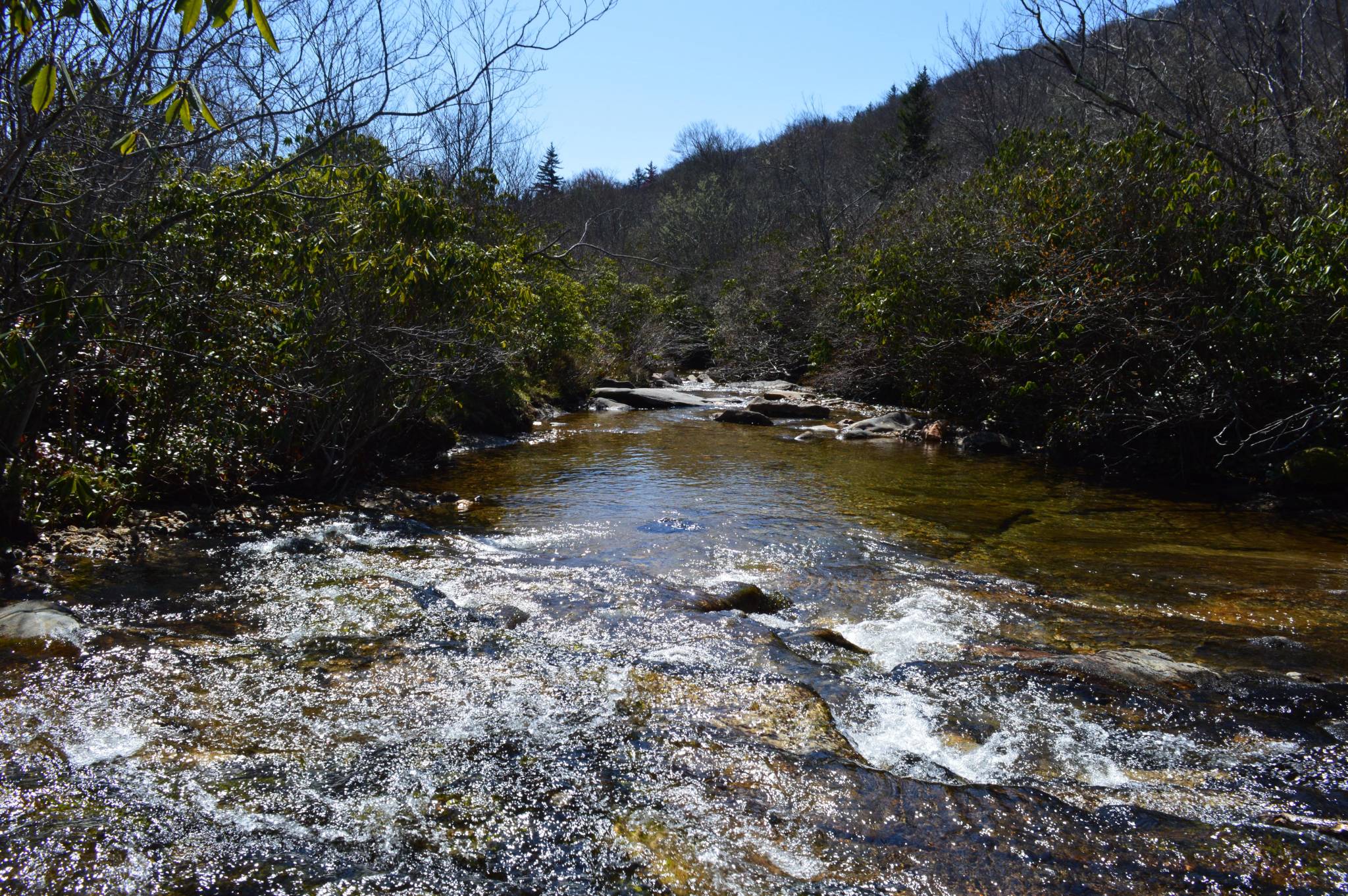 yellow prong river at graveyard fields in pisgah national forest