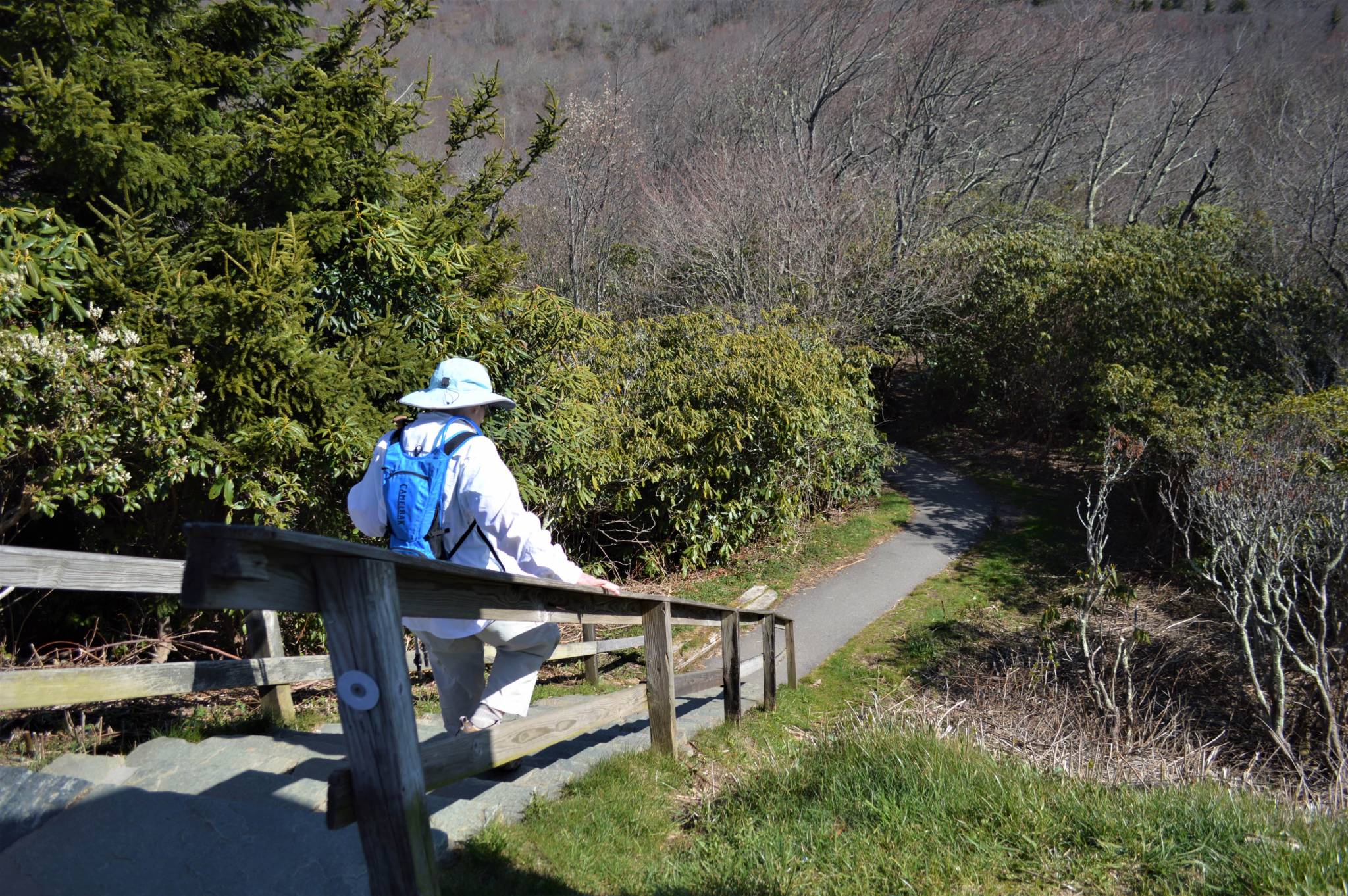 woman descending stairs on graveyard fields trail, blue ridge parkway