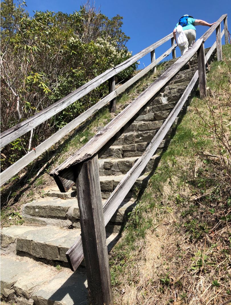 stairway at graveyard fields trail, blue ridge parkway