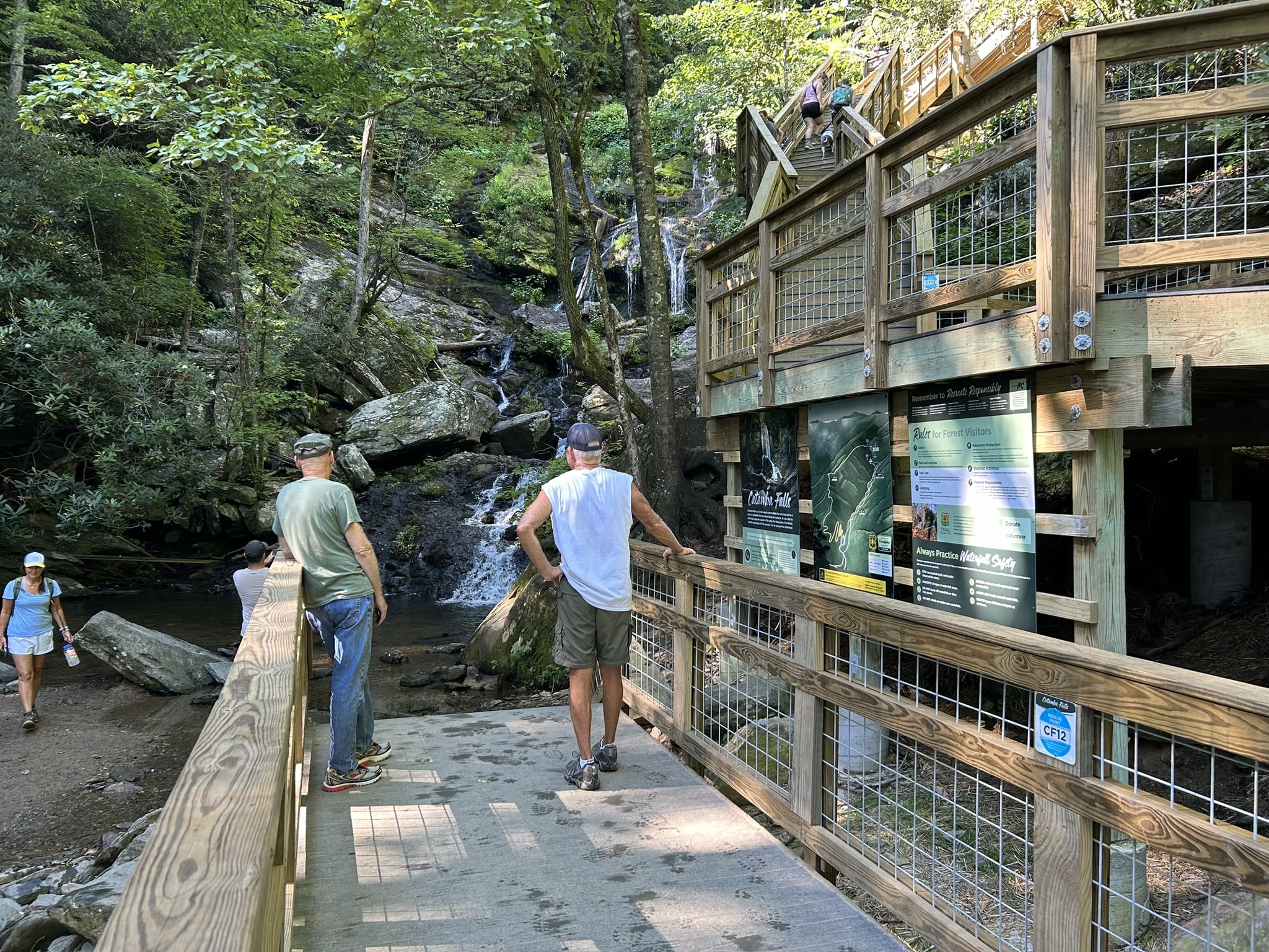 two men on wooden deck in forest