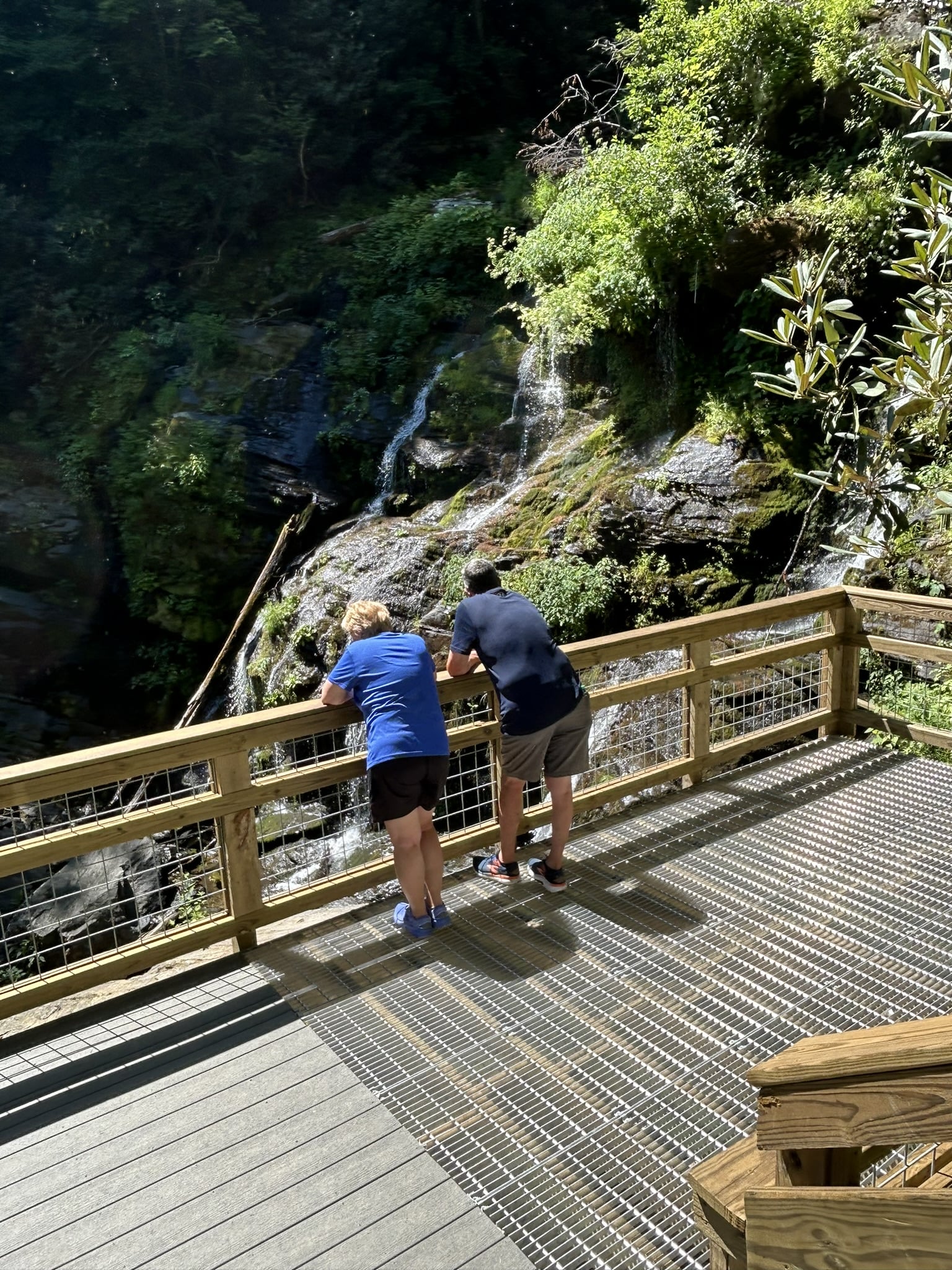 couple on deck above waterfall in forest