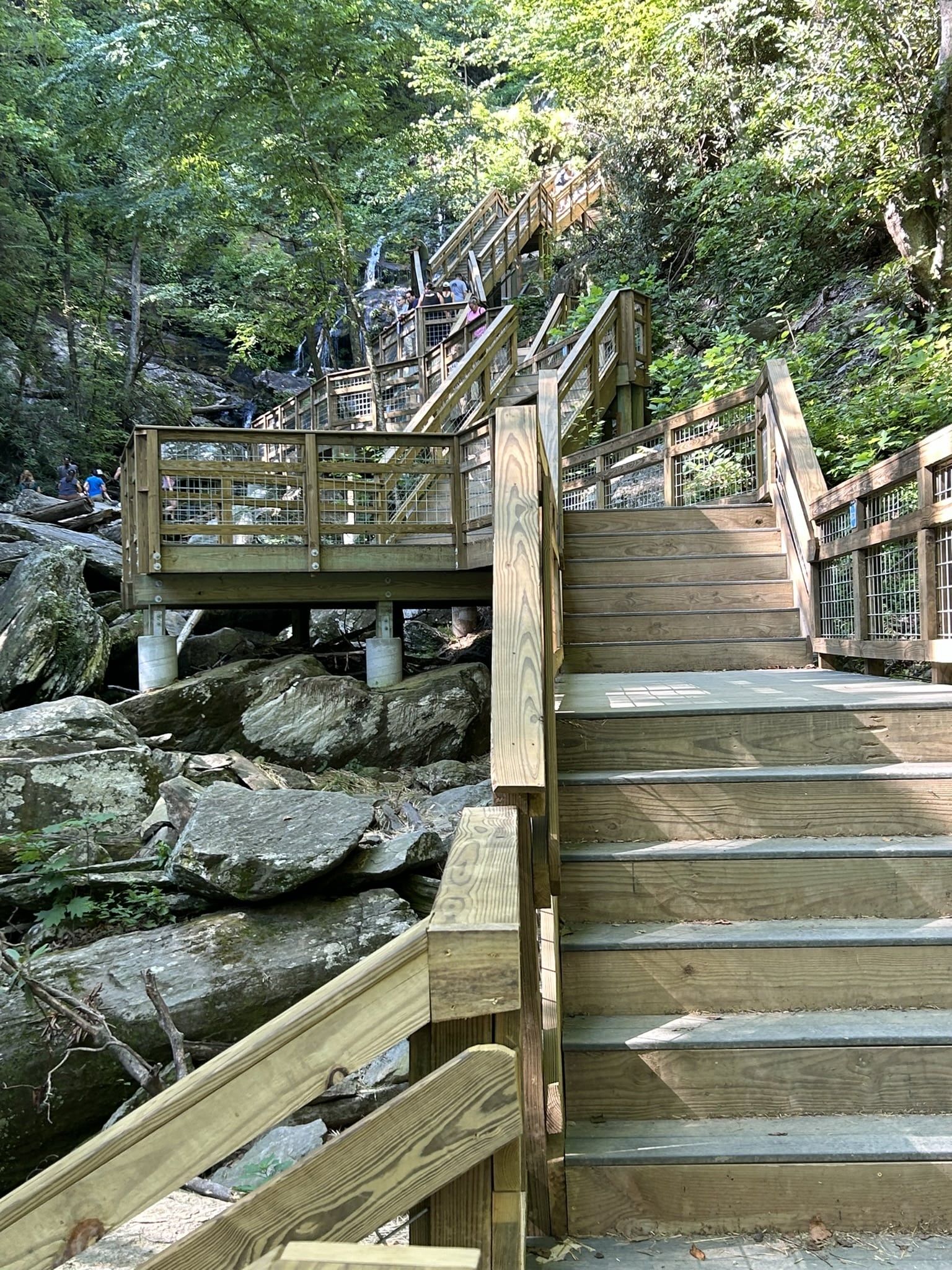 wooden staircase in forest