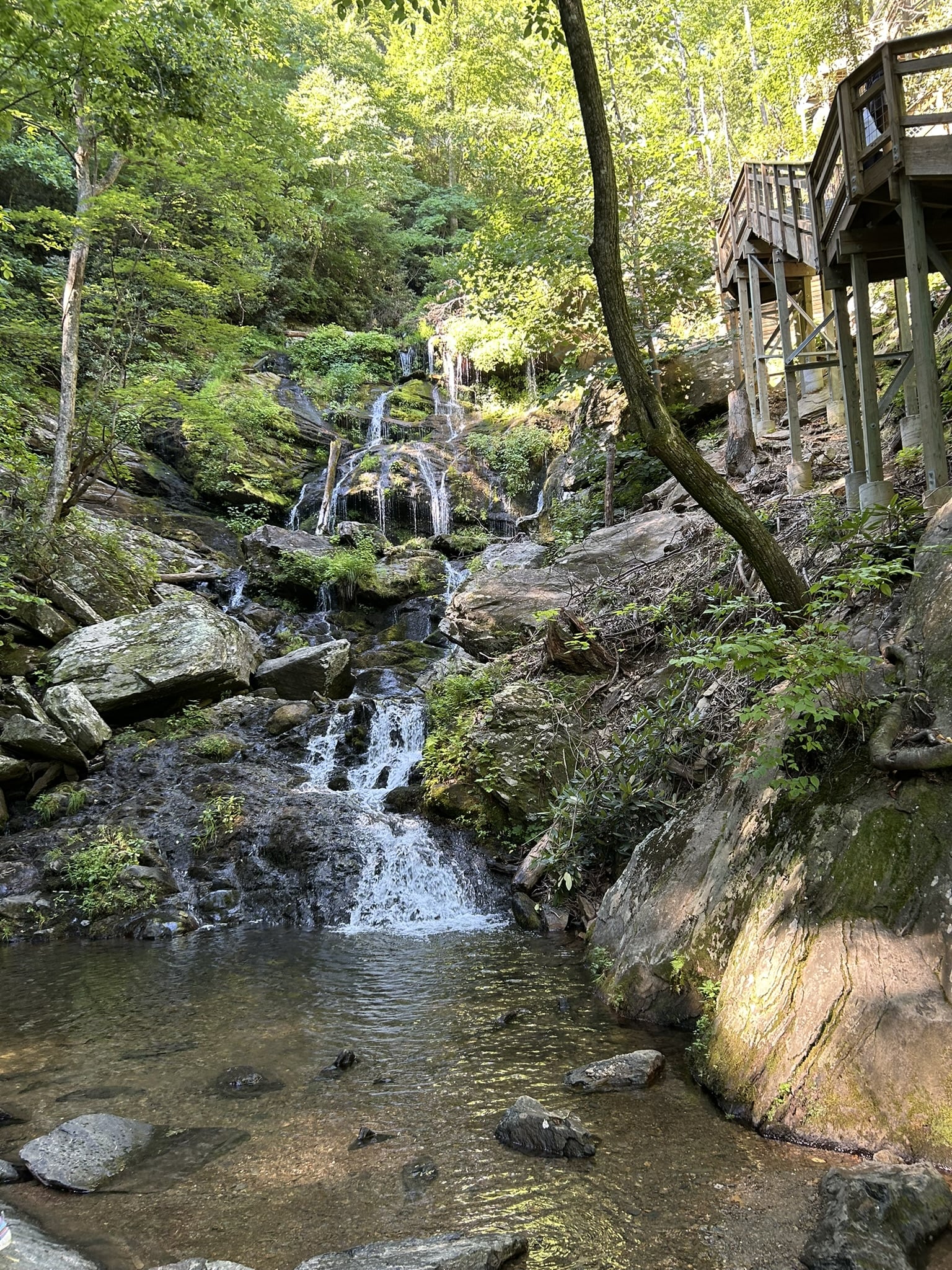 base of waterfalll in forest